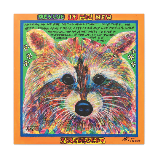 Rocky Raccoon - Canvas Various Sizes