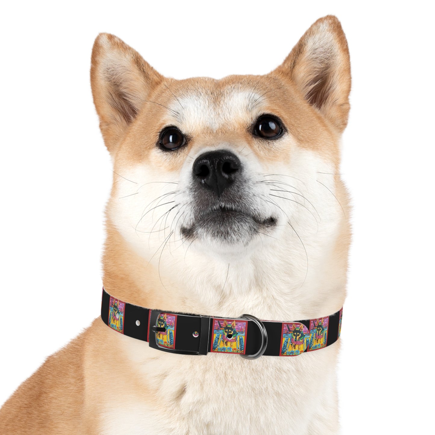 Rollin with Roo Dog Collar