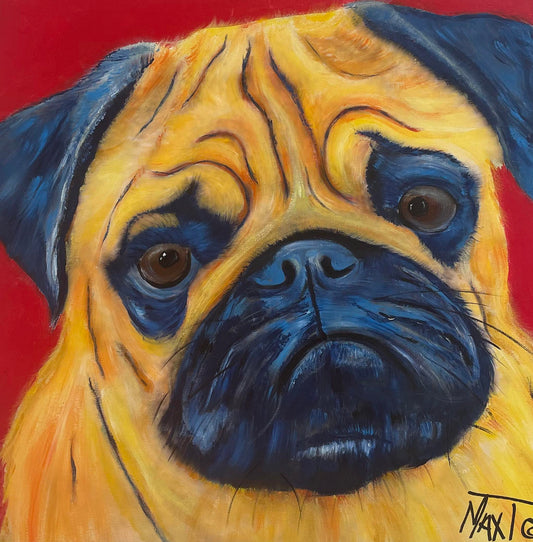 Pensive Pug